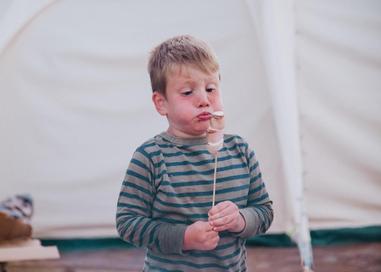 Отель Ty Llewelyn Glamping & Camping Лланидлос Экстерьер фото